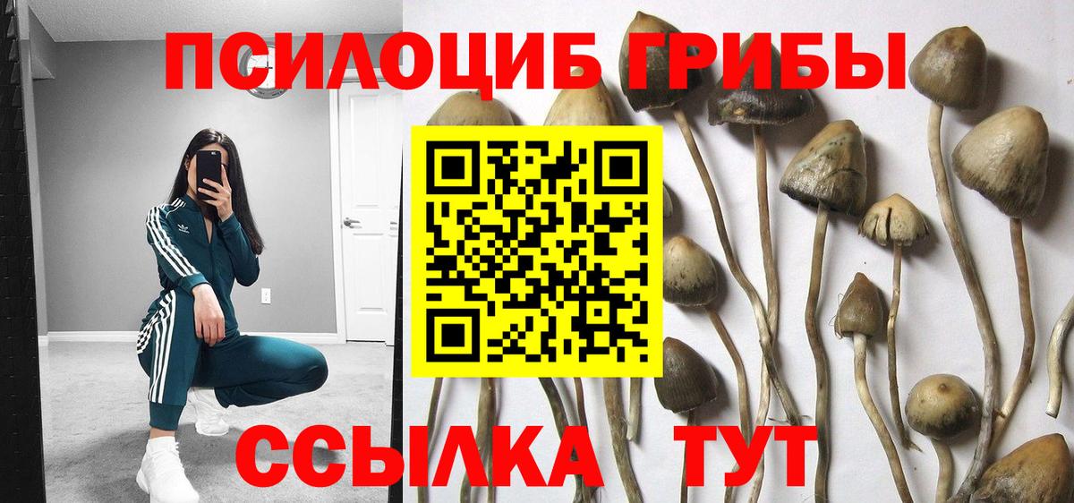 Арзамас  Псилоцибиновые грибы Magic Shrooms  Вход с VPN 